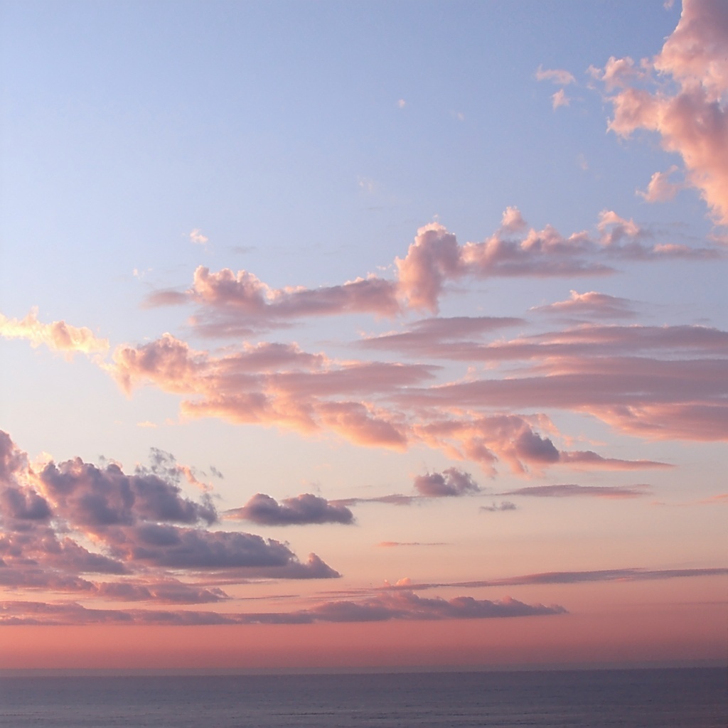 As dawn breaks the morning sky transforms into a breathtaking canvas painted with hues of soft pink warm orange and gentle lavender gradually giving way to the brightening blue of day Wispy clouds drift lazily across the horizon illuminated by the fi